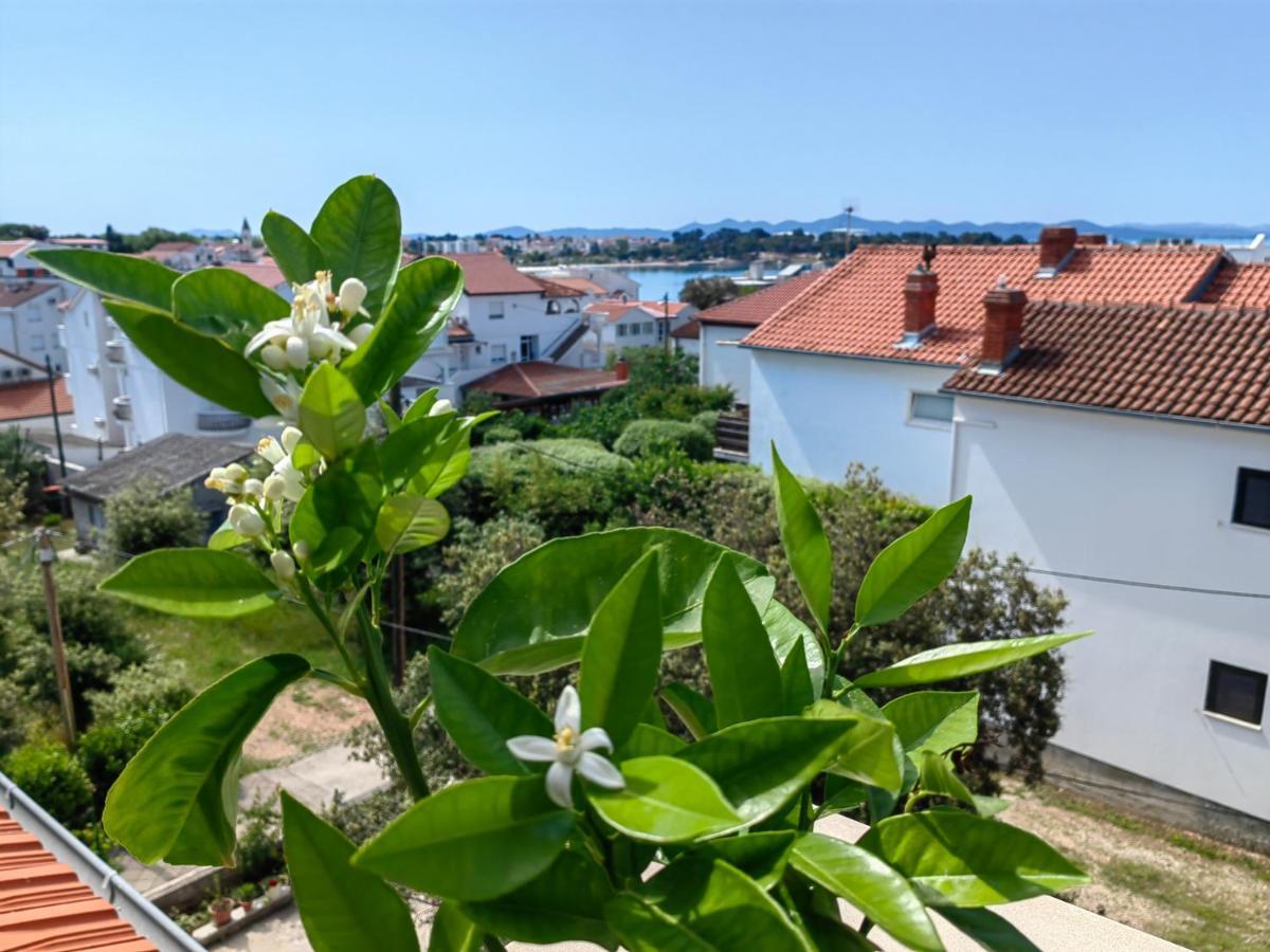 Apartment Family Plazina - Place 1 & 2 *